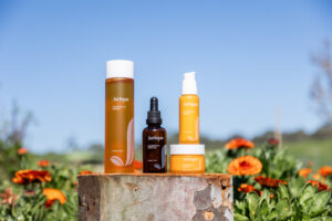 Jurlique's Calendula Range